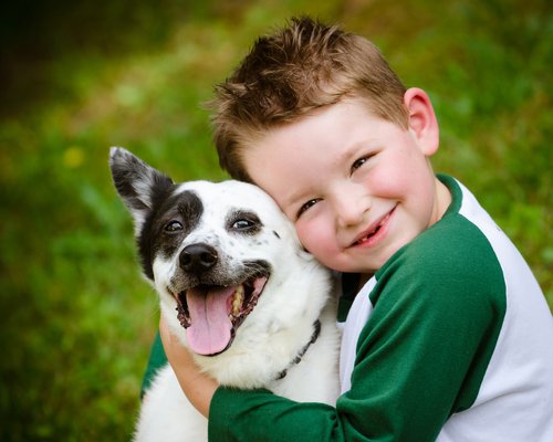 Los perros y la terapia con niños autistas