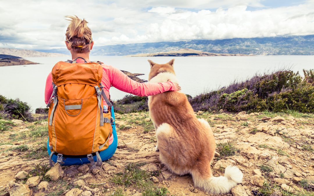 Deportes para practicar con tu perro